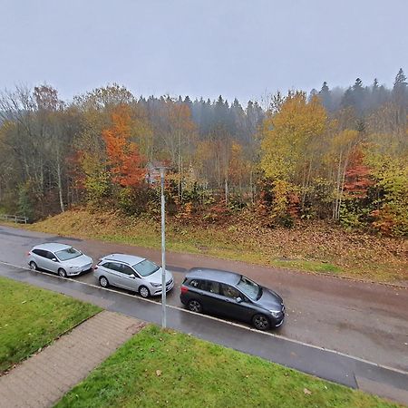 2 Rooms Apartment In Triberg トリベルク エクステリア 写真