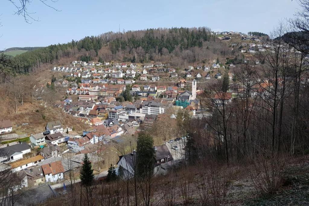 2 Rooms Apartment In Triberg トリベルク エクステリア 写真