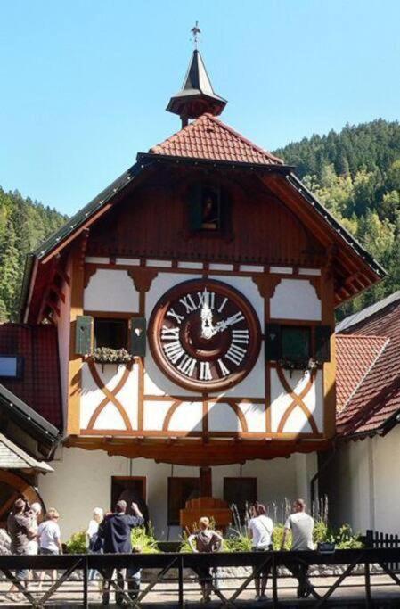 2 Rooms Apartment In Triberg トリベルク エクステリア 写真